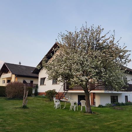 Ferienwohnung-Wald Wald  Exterior foto