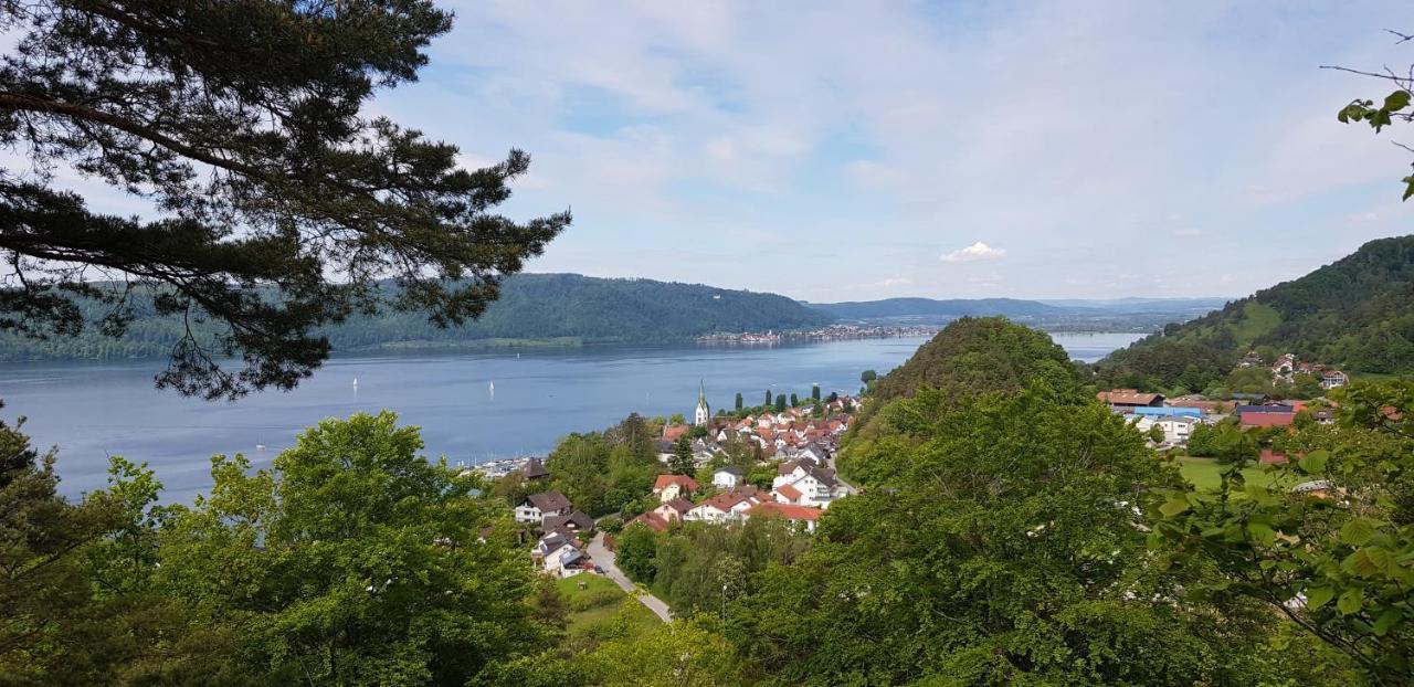 Ferienwohnung-Wald Wald  Exterior foto