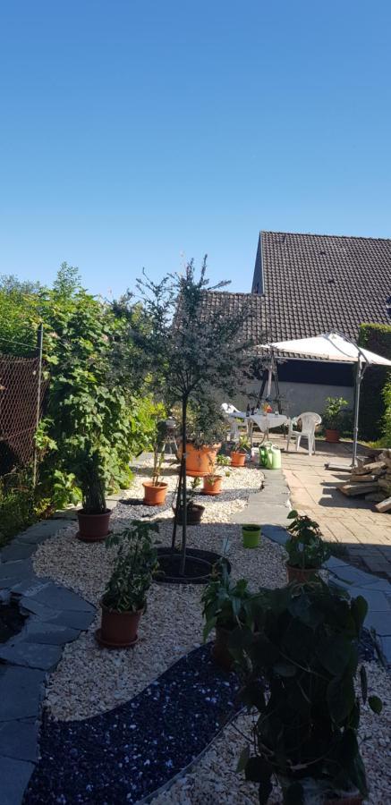 Ferienwohnung-Wald Wald  Exterior foto