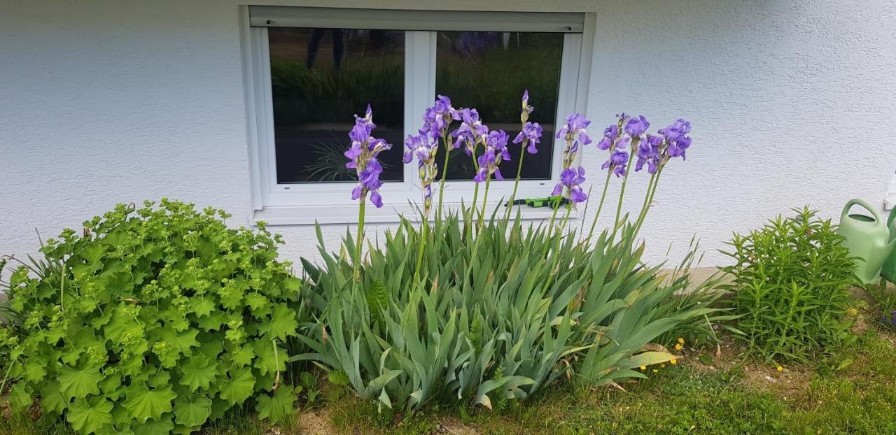 Ferienwohnung-Wald Wald  Exterior foto