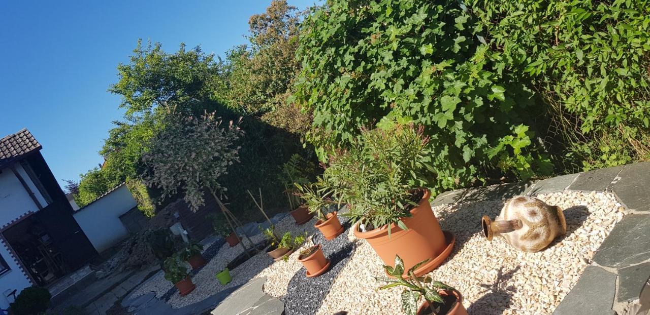 Ferienwohnung-Wald Wald  Exterior foto
