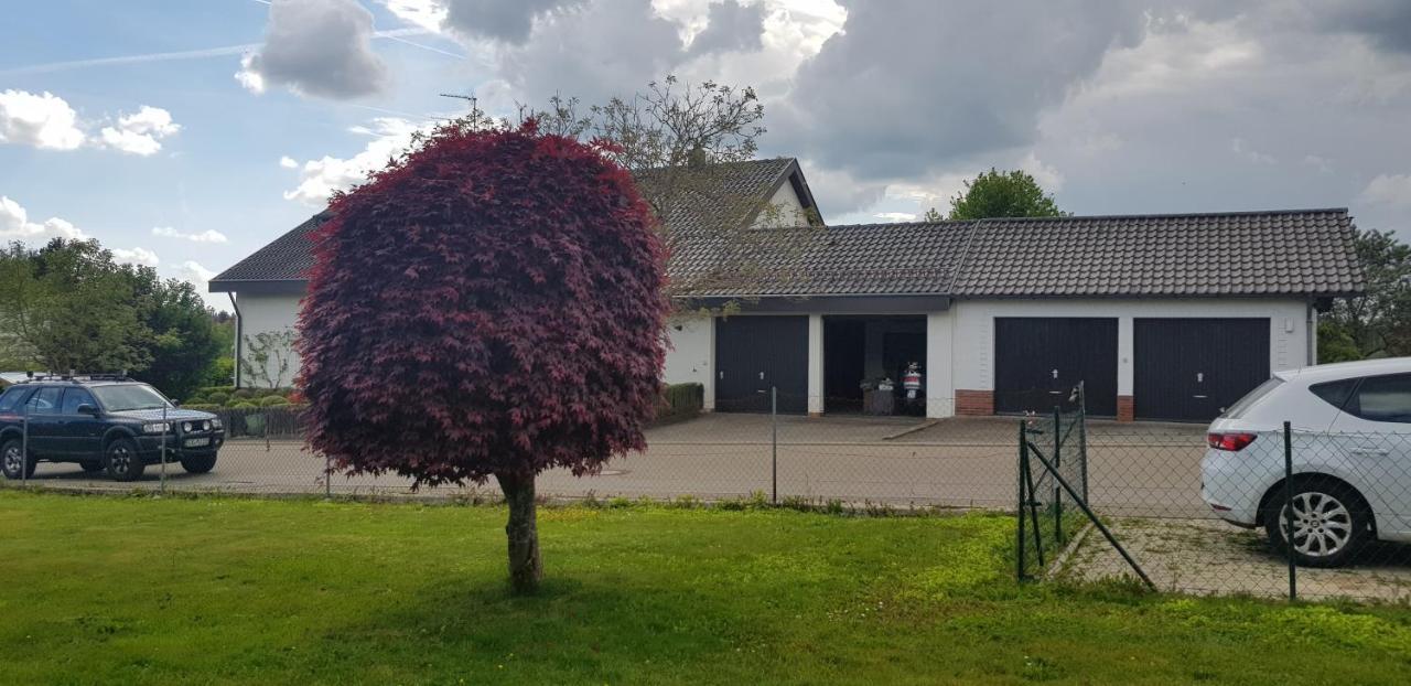 Ferienwohnung-Wald Wald  Exterior foto